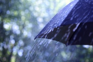 Rain on umbrella